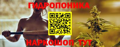 PSILOCYBIN Краснознаменск