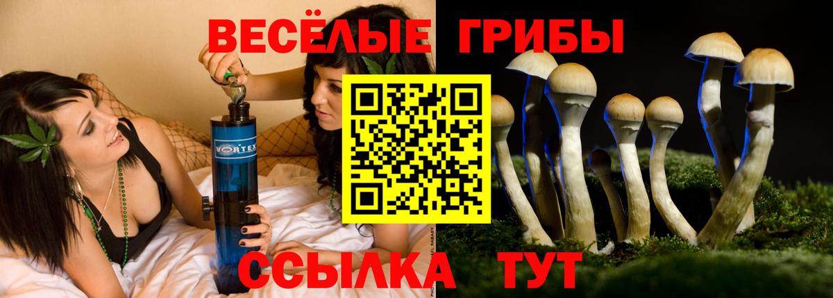 Галлюциногенные грибы прущие грибы  Галлюциногенные грибы MAGIC MUSHROOMS  Калуга  Вход с VPN 